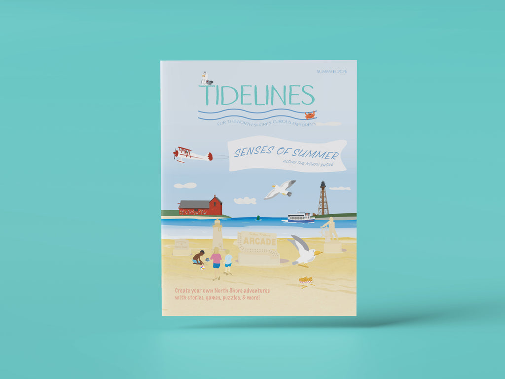 Issue 1: Sense of Summer (Single Issue)