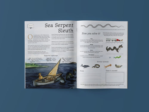 Issue 1: Sense of Summer (Single Issue)